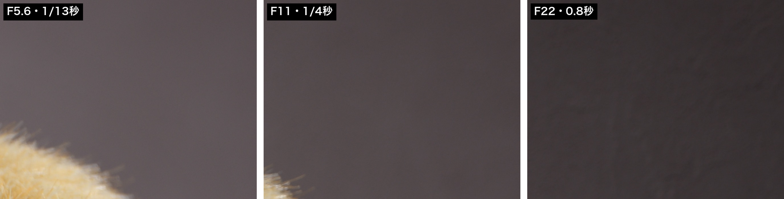 背景の壁の同じ場所を等倍で切り出した3枚。F5.6とF11は均一なグレー、F22で壁紙の凹凸が見える