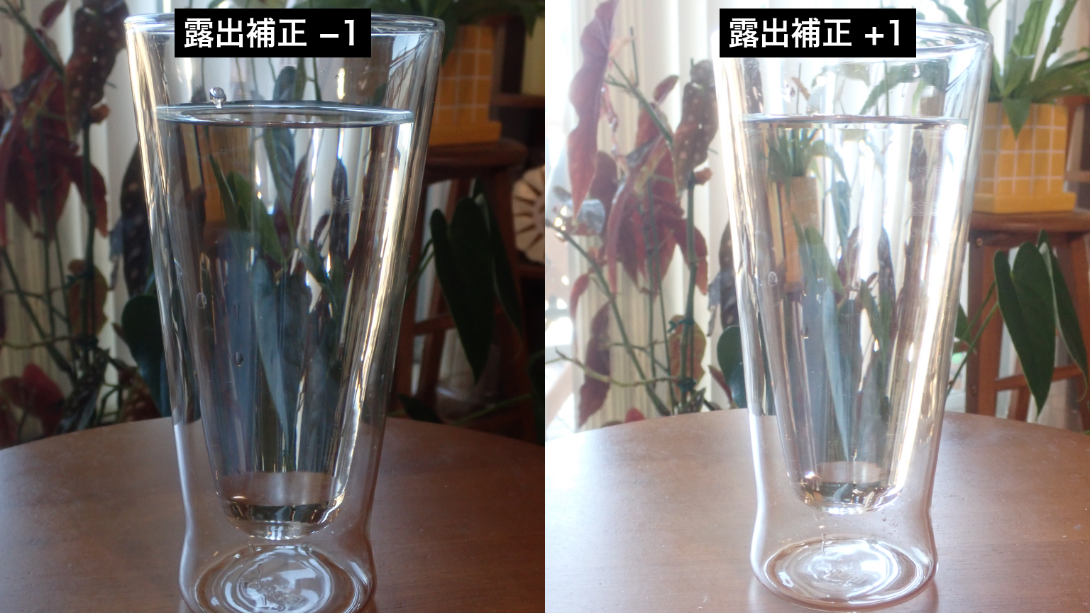 TG-6で撮った透明なコップの水、露出補正−1と+1の比較