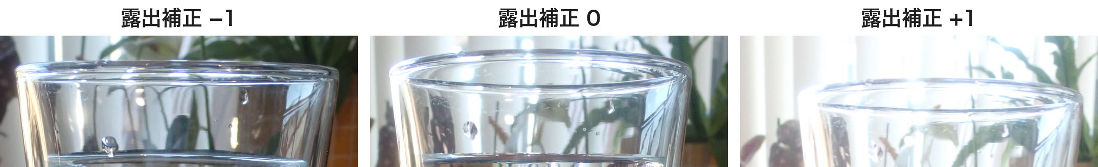 露出補正−1・0・+1のコップの縁の上端を等倍で切り出した比較。+1で縁の線が細く明るくなる