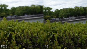 GR IIIの作例。植え込みの背景をF2.8とF8で比べたアイキャッチ