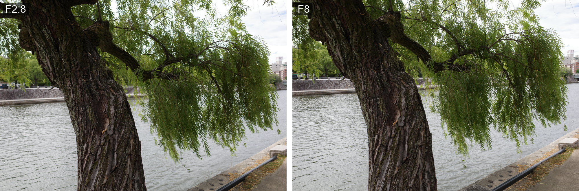 柳の幹の作例をF2.8とF8で横に並べた比較