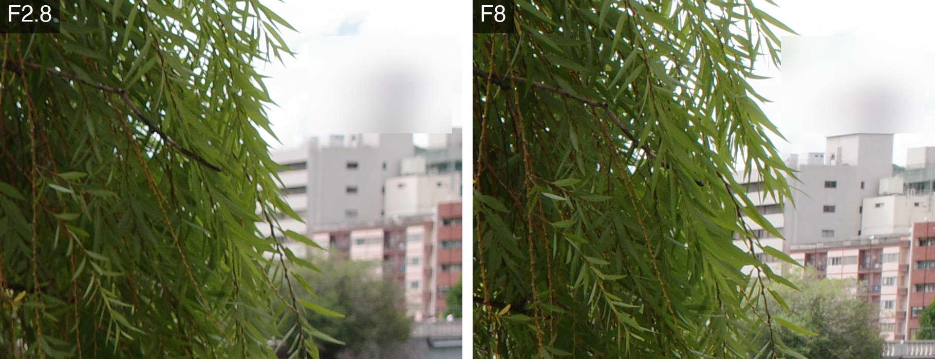 右奥のビルを等倍で切り出した比較。F2.8では窓の縁がにじみ、F8でははっきり見える