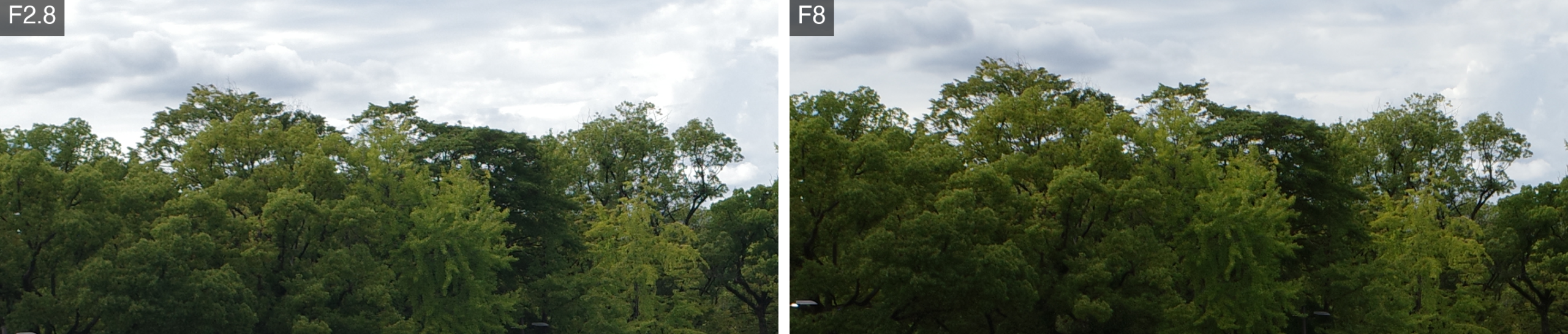 対岸の木を等倍で切り出したF2.8とF8の比較