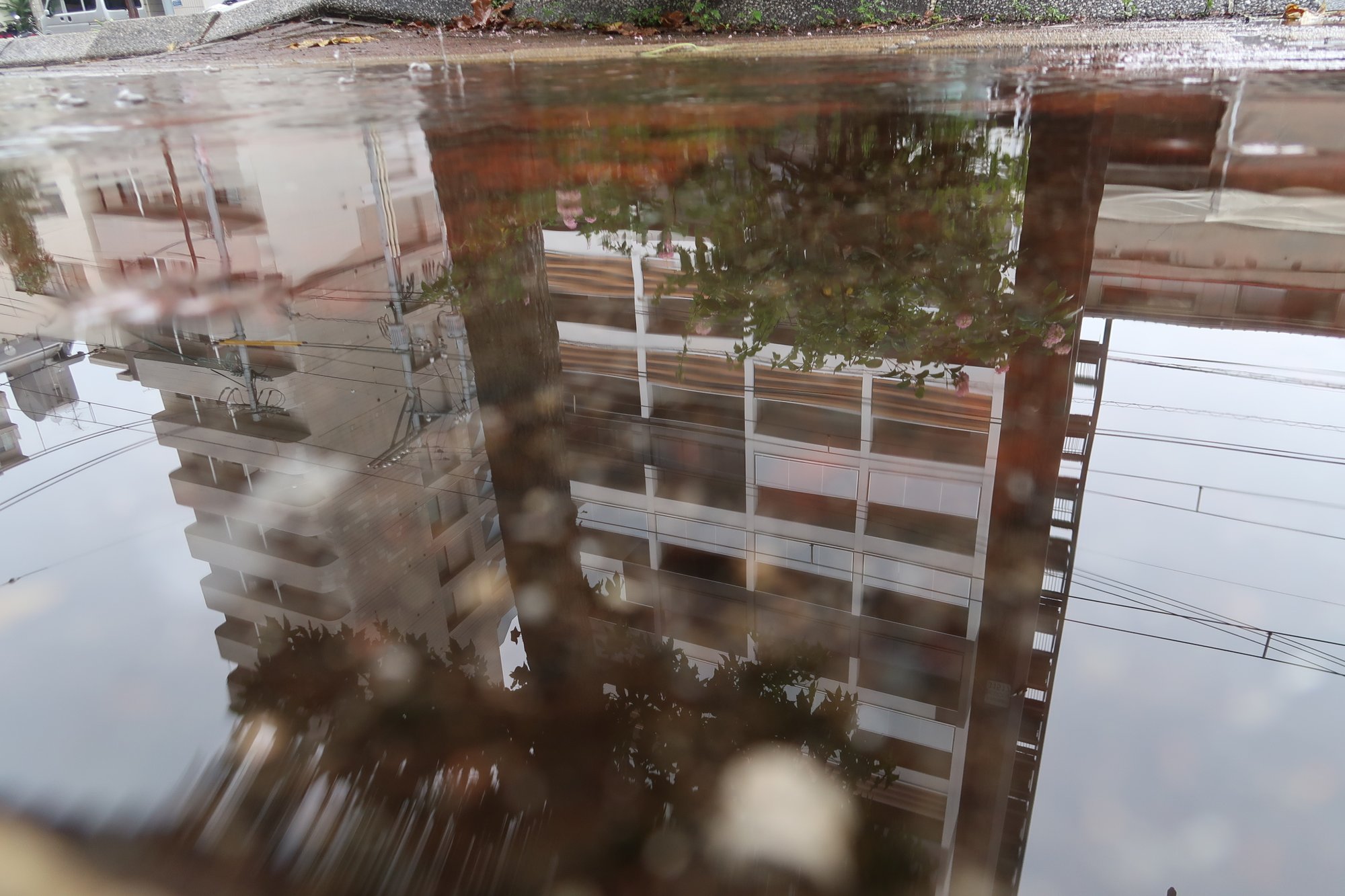 マンションの反射の画面下に、白くぼけた塊が入った失敗カット