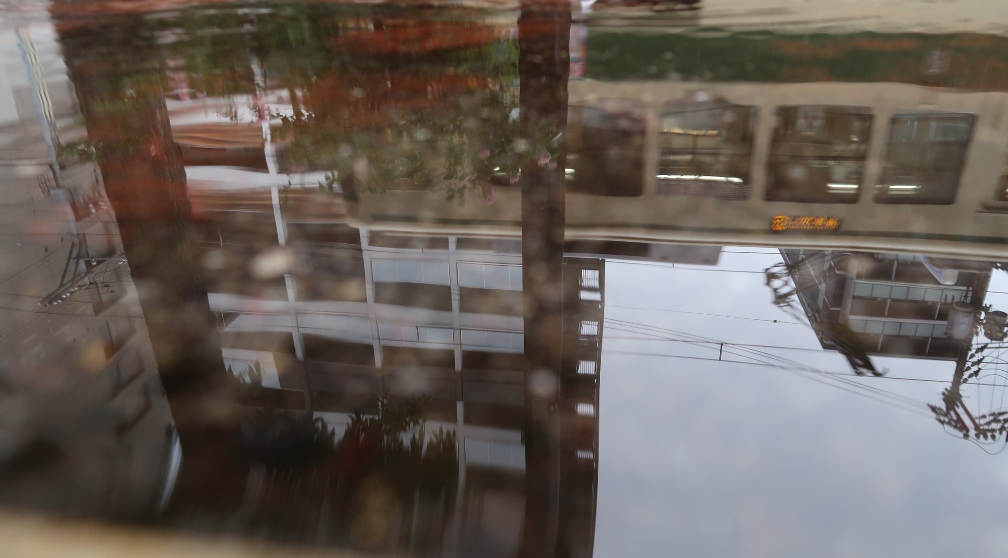 路面すれすれから撮った水たまりに、路面電車が上下逆さまに映っている