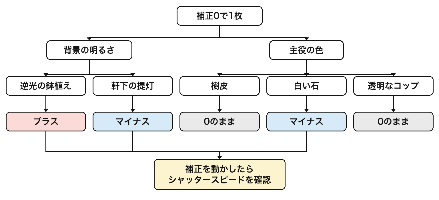 露出補正をプラスにするかマイナスにするかを決める前に見る場所を示した図。補正0で1枚撮ってから、背景の明るさと主役の色を見た5つの実例が、プラス・マイナス・0のままに分かれ、補正を動かした3つの答えだけがシャッタースピードを確認する流れにつながる