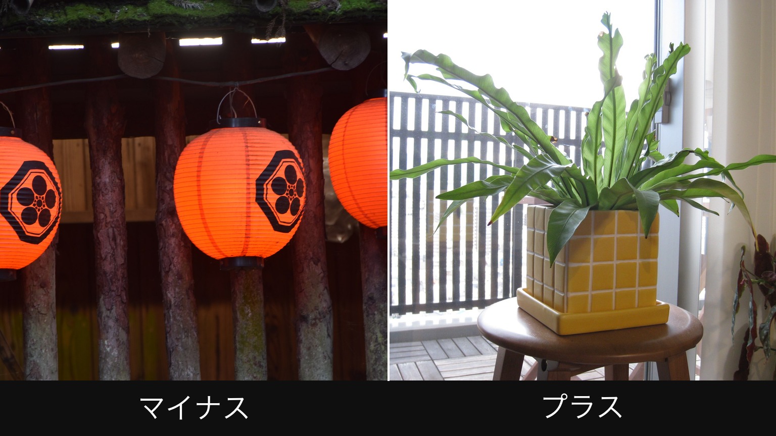 露出補正で写真が変わる例。左は軒下の提灯（マイナス）、右は逆光の鉢植え（プラス）