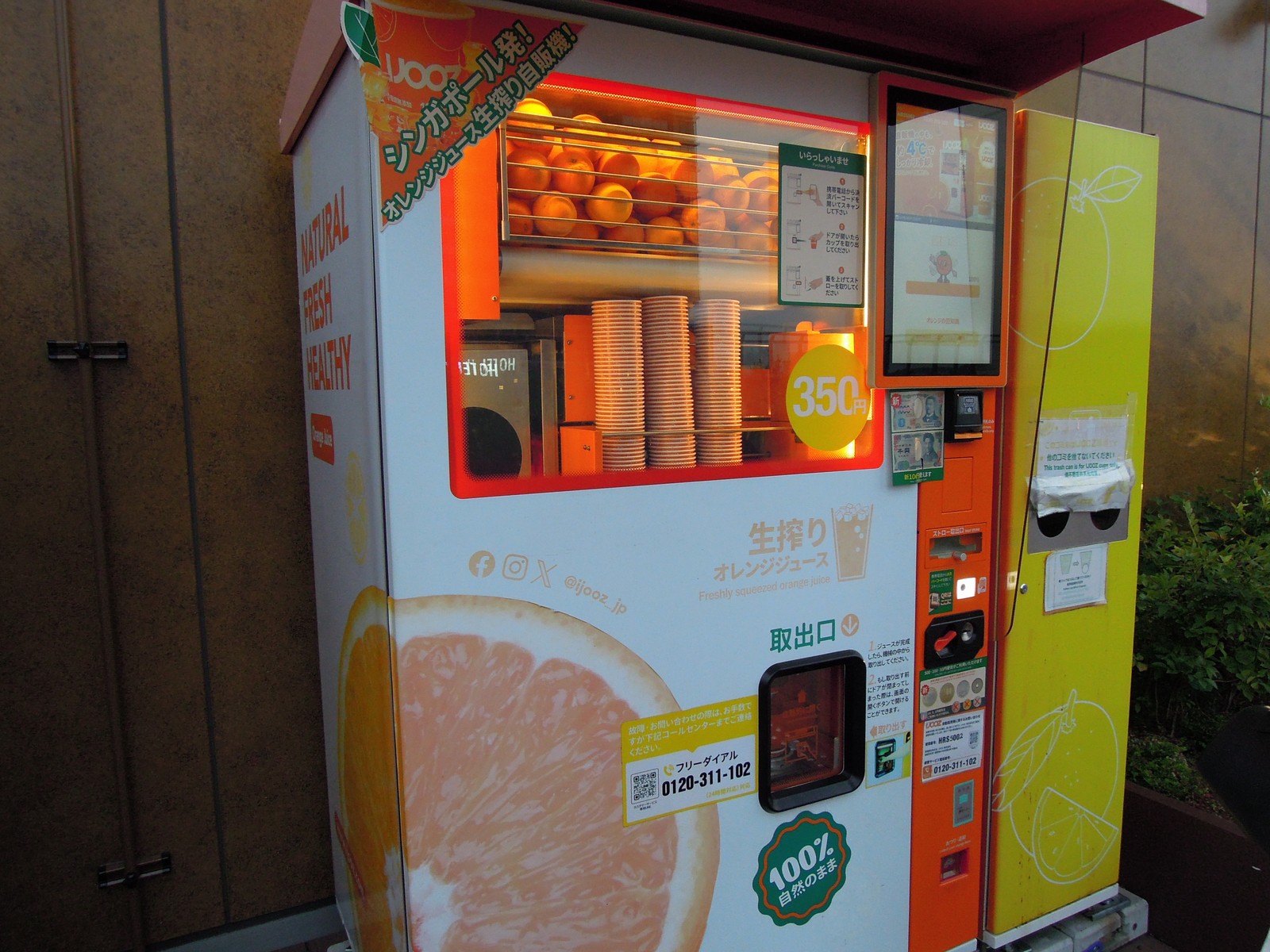 オレンジが並ぶ棚と紙カップが見える、生搾りオレンジジュースの自動販売機