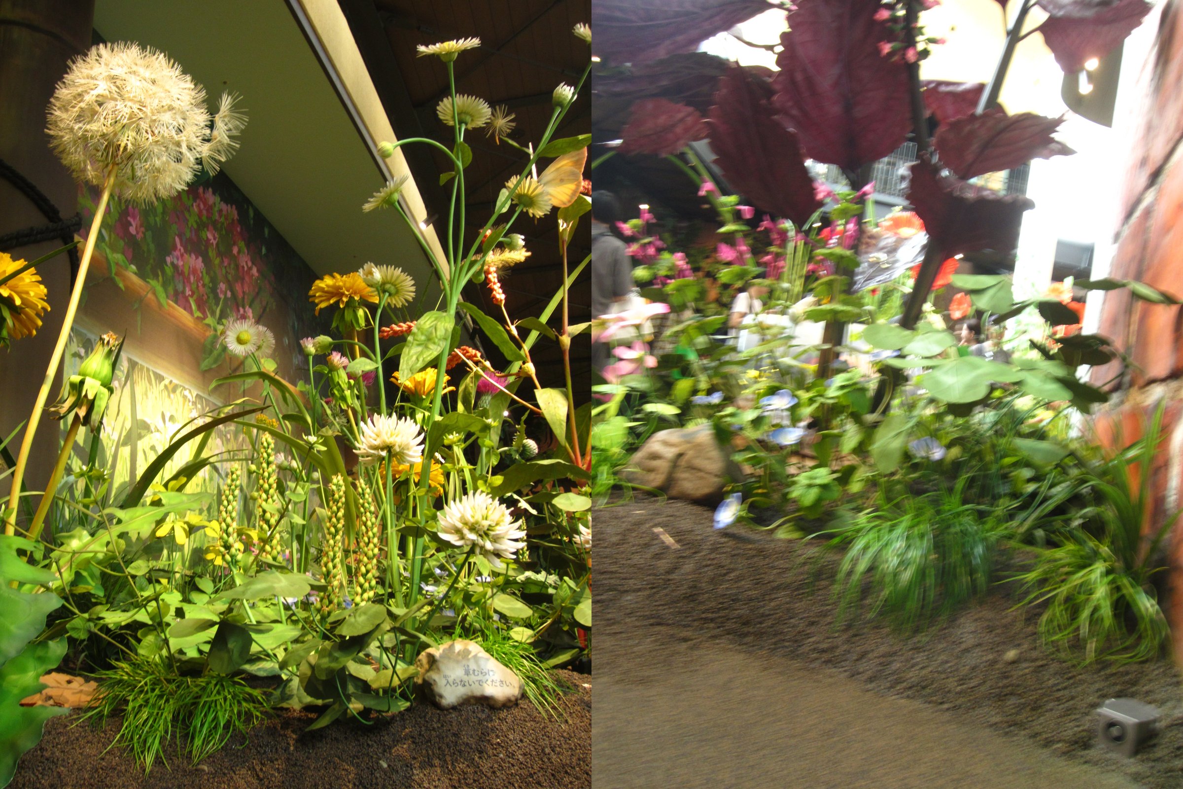 ジブリの大倉庫の床下の家と小人の庭で、大きな綿毛のタンポポと花の作り物を撮った、くっきりした写真と、赤紫の大きな葉と手前の草がブレた写真を横に並べた写真