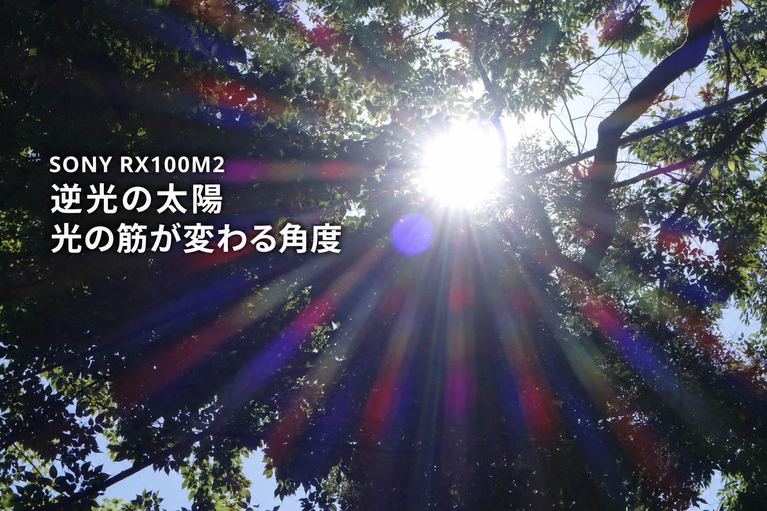 SONY RX100M2の作例。比治山公園の木立の太陽から虹色の光の筋が伸び、紫のゴーストが写る逆光写真