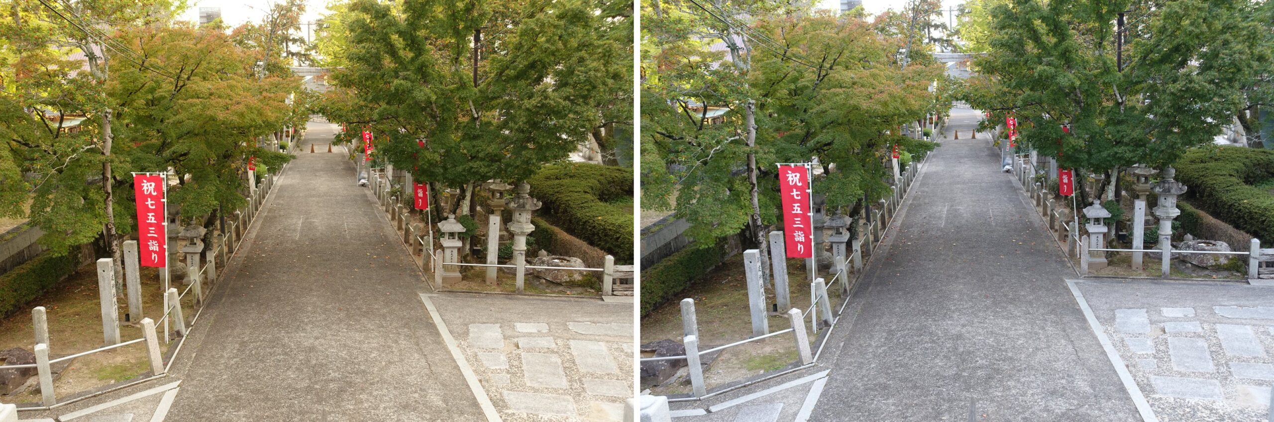 西条駅の近くの神社の参道を見下ろして撮った2枚。左の夕景モードは道がうすい茶色、石畳が黄色っぽいベージュで木の葉も黄色みが強い。右のおまかせオートは道と石畳が青っぽい灰色で、木の葉は緑に見える